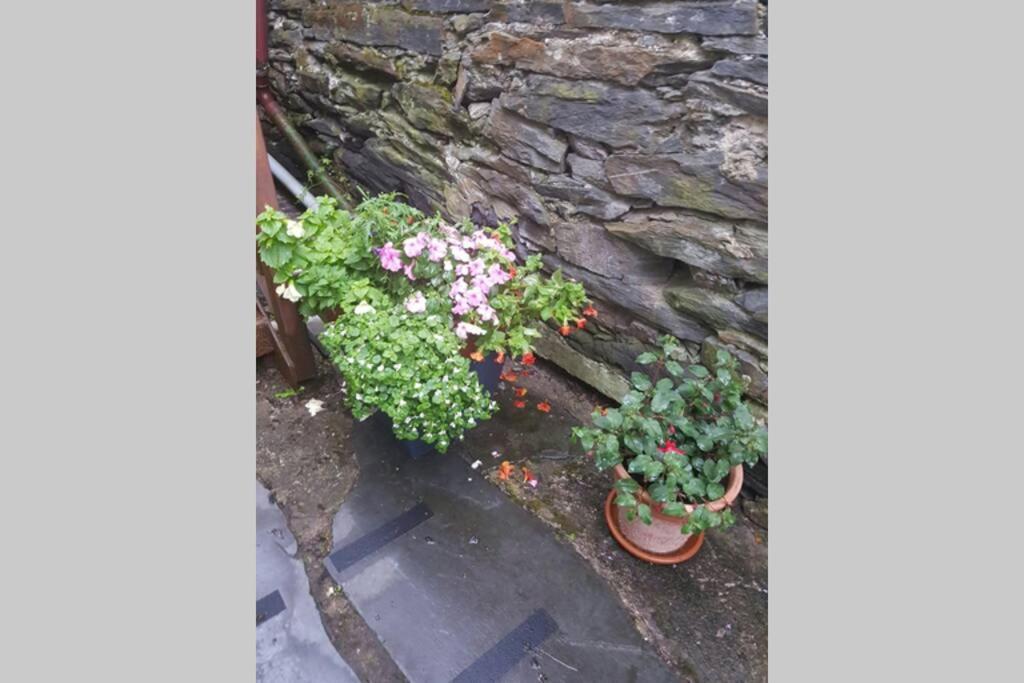 Porthmadog Harbour Town - High Street Apartment. 외부 사진